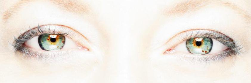 katyfontanive's profile banner image