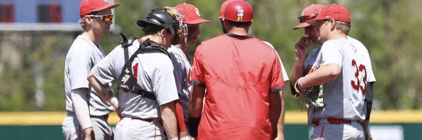 Dmitri Collaros banner