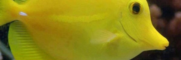 henryadty's profile banner image