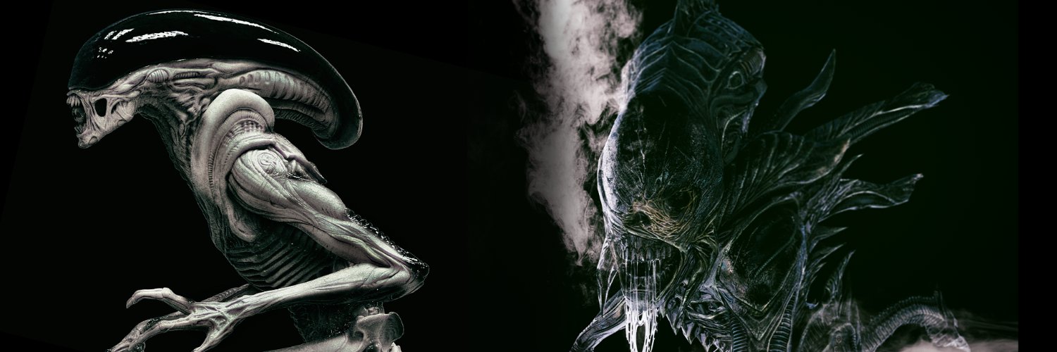 DBsrecord's profile banner image