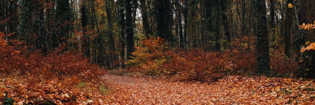 ameliabevins's profile banner image