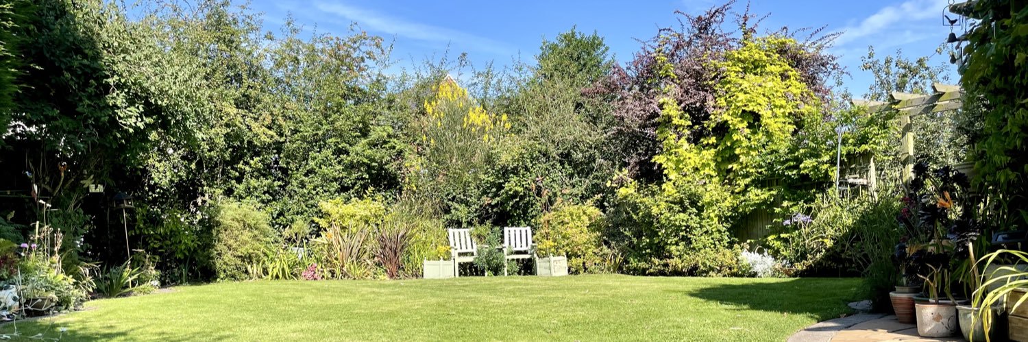 Bee Smith 🐝 🐶🦔 🧁 ⚽️ banner