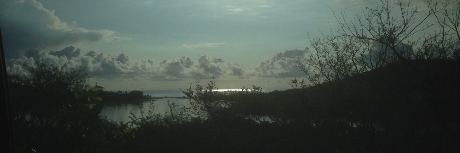 illari's profile banner image