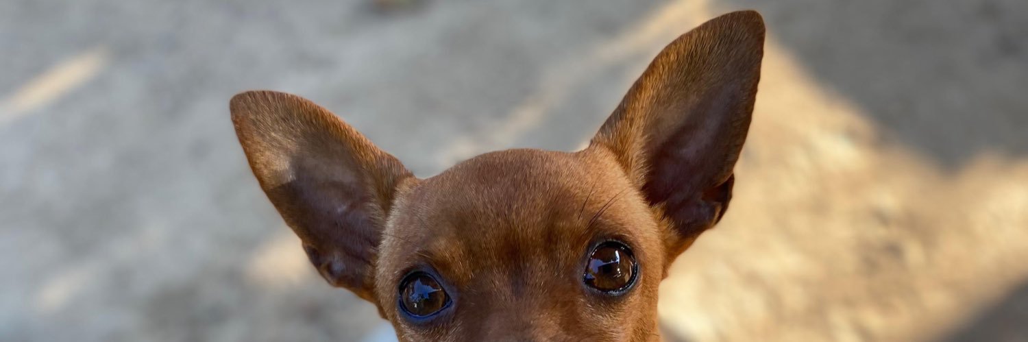 babipyd's profile banner image