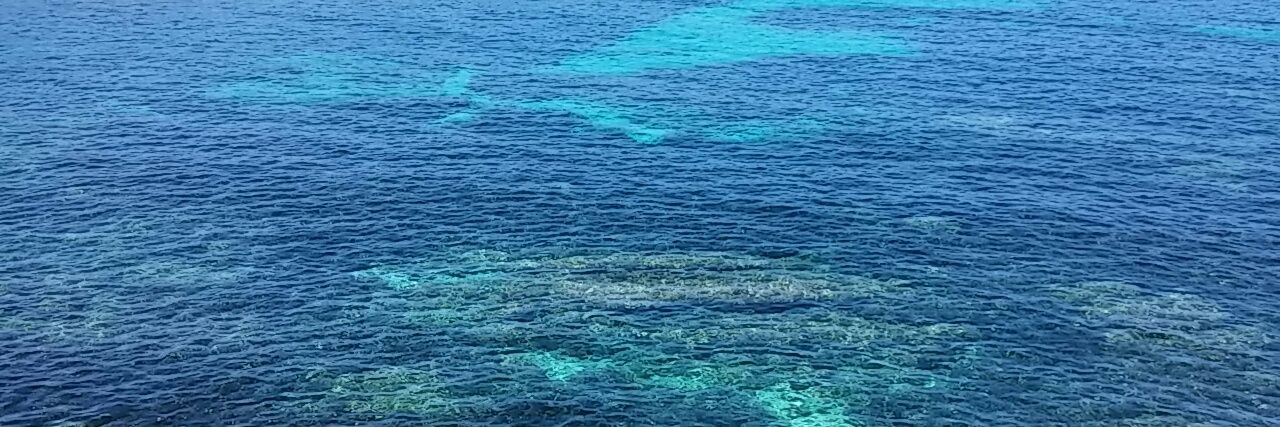 Valeria Minghetti banner