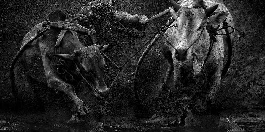 viertelnachelf's profile banner image