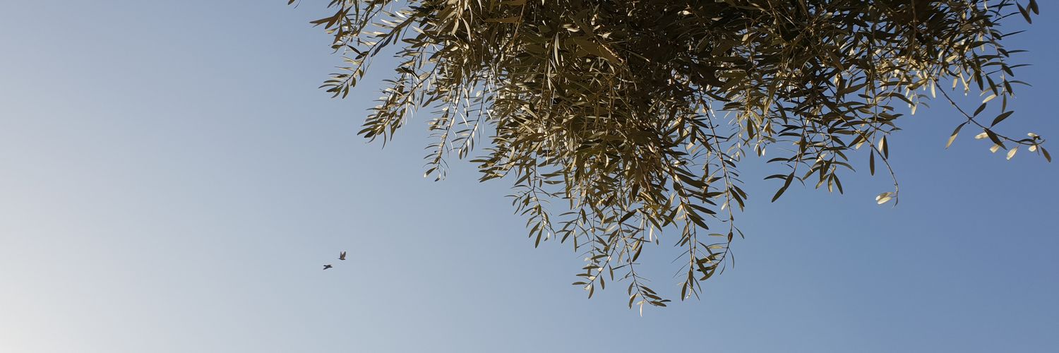 _rahel's profile banner image