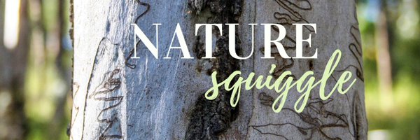 NatureSquiggle Profile Banner