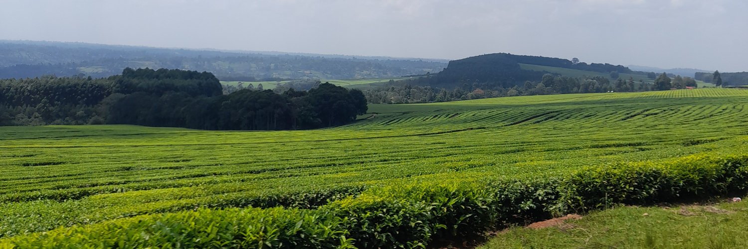 iwmwaura's profile banner image
