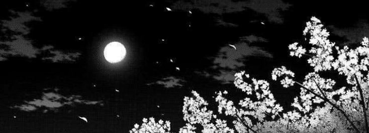 bearluuna30's profile banner image