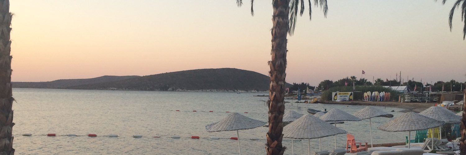 ---- banner