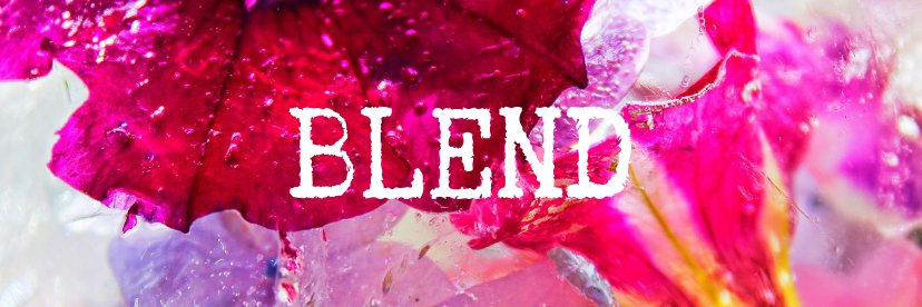 blendtheparty's profile banner image