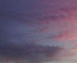 Principessa Sandra's banner