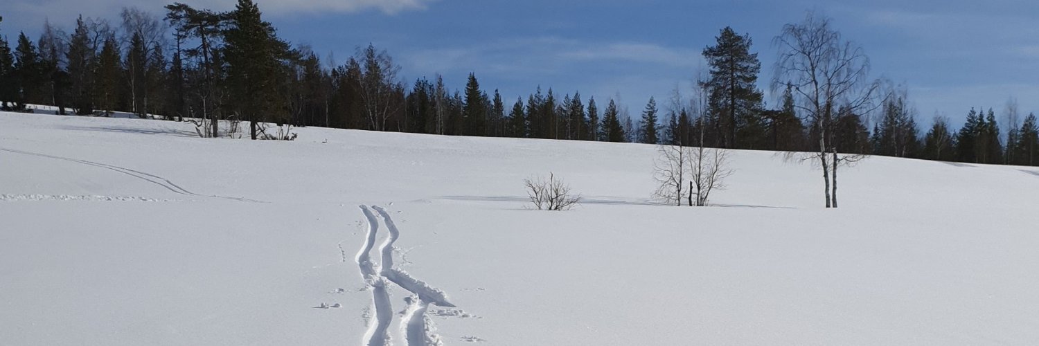 RTiuraniemi's profile banner image