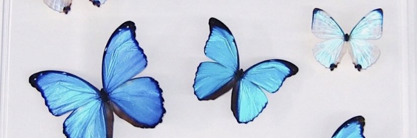 lexis22_'s profile banner image