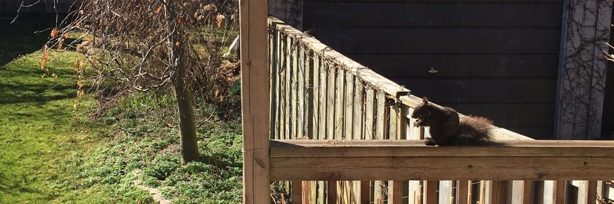 EAstuvilca's profile banner image
