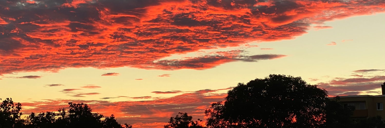 Claudia Remlinger banner