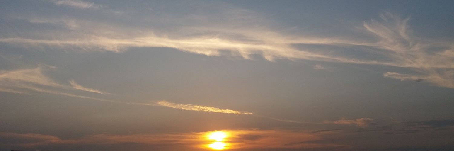 popsispice's profile banner image