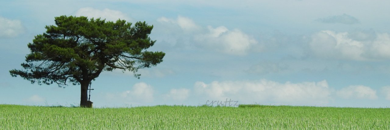 crutterbeam's profile banner image