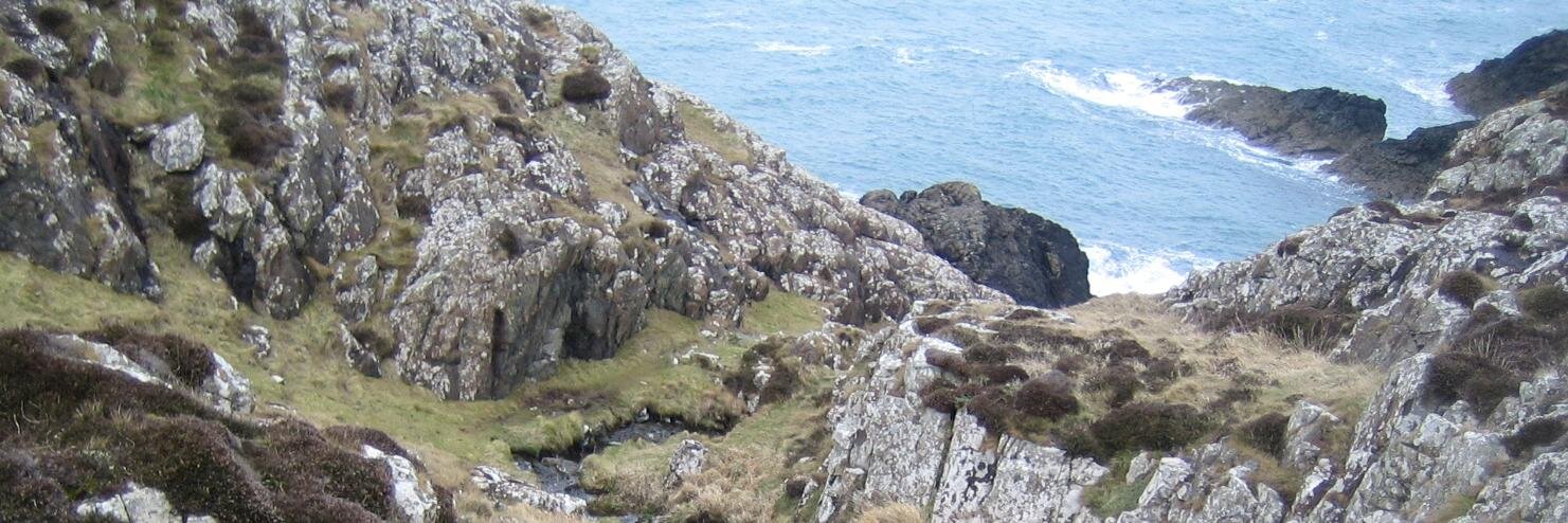 Brandon Q-Hicks banner