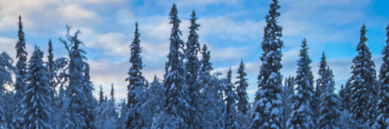 knurran's profile banner image