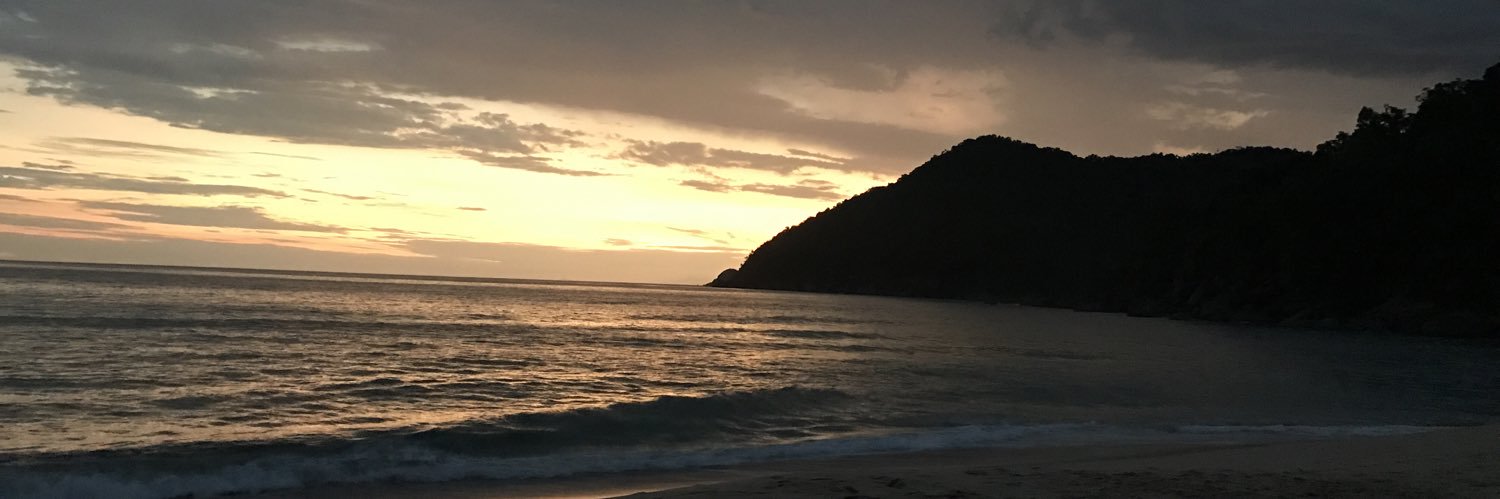 dearmarix's profile banner image