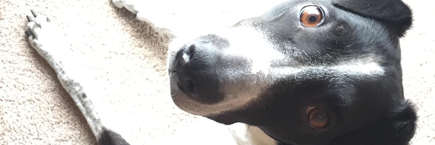 highdeezee's profile banner image