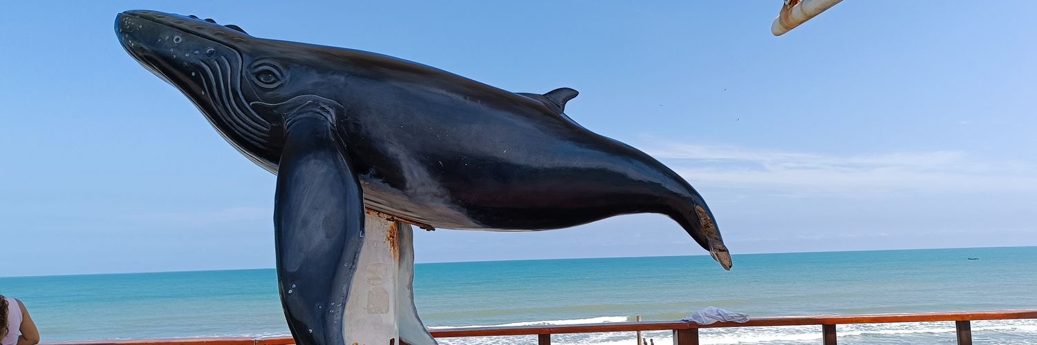 crispalacioslu's profile banner image