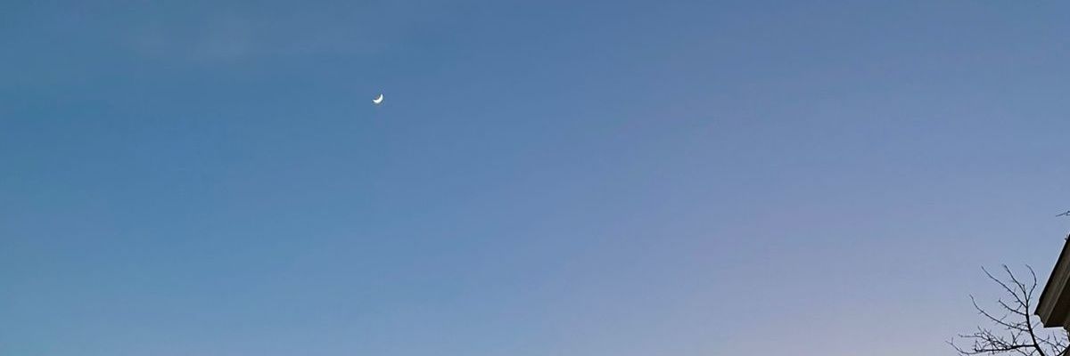 negdelevo's profile banner image