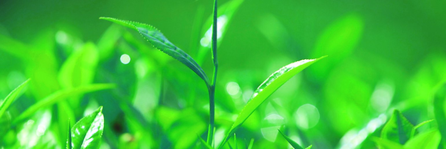 GreenHealthPR's profile banner image