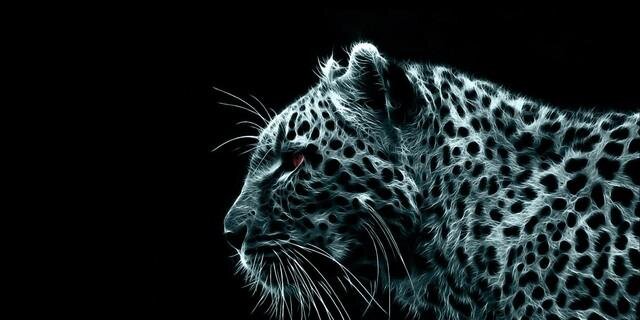 kdr_dyg's profile banner image
