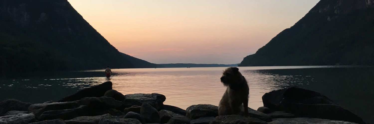 MuttMaps's profile banner image