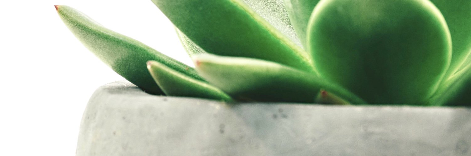 AppAlls's profile banner image