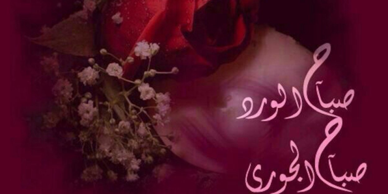 13568441's profile banner image
