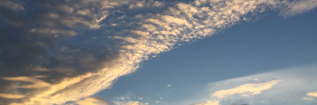 aomsapas_'s profile banner image