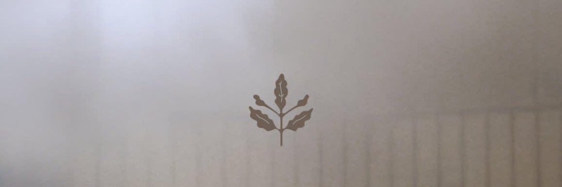 Radssetr's profile banner image