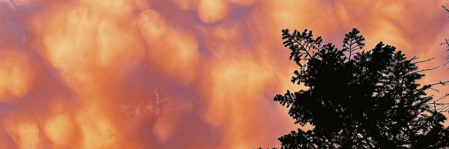 morgandzak's profile banner image
