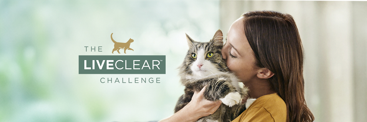 Pro Plan Cat banner