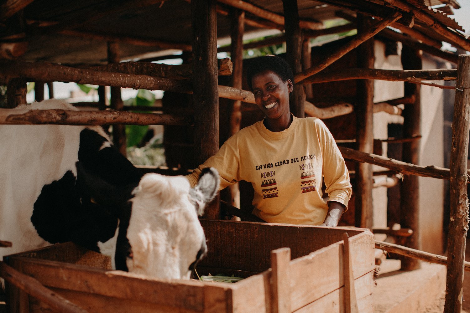 Bóthar Charity Ireland banner