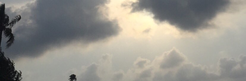 rlesty_'s profile banner image
