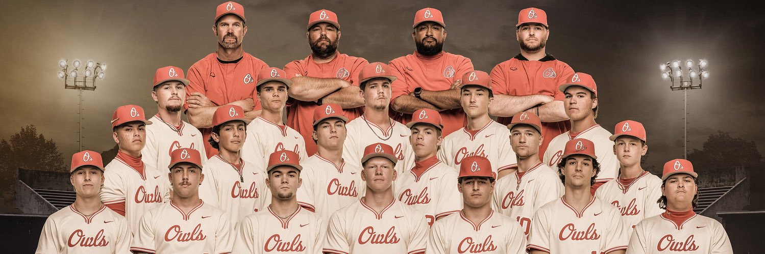 Elgin Owls Baseball banner