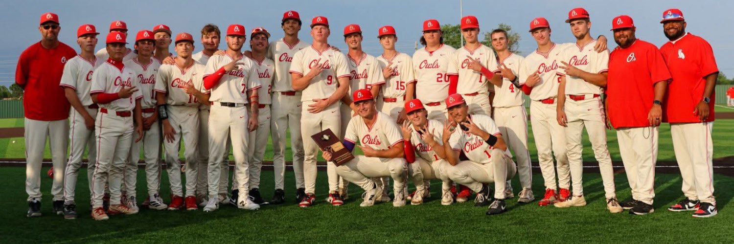Elgin Owls Baseball banner