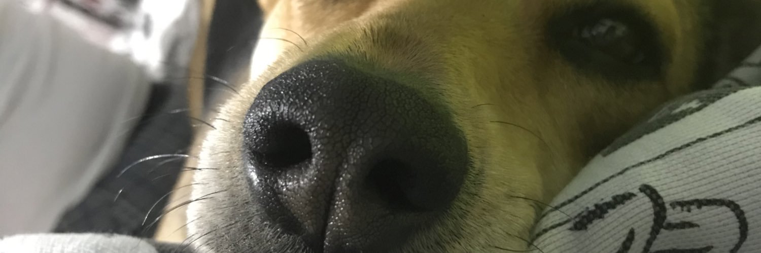 SaidyJulieth_'s profile banner image