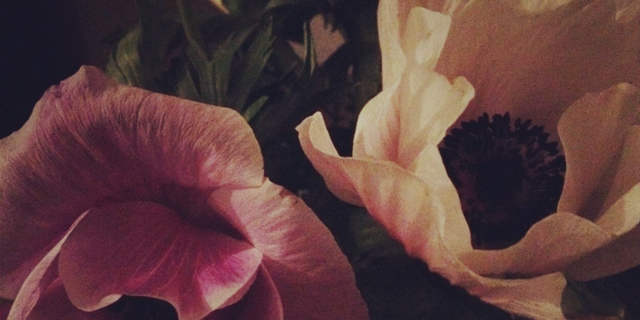 Florie_Berger's profile banner image