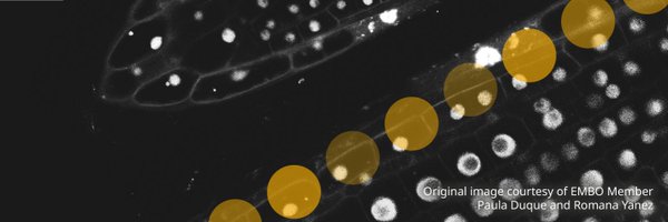 EMBOevents Profile Banner