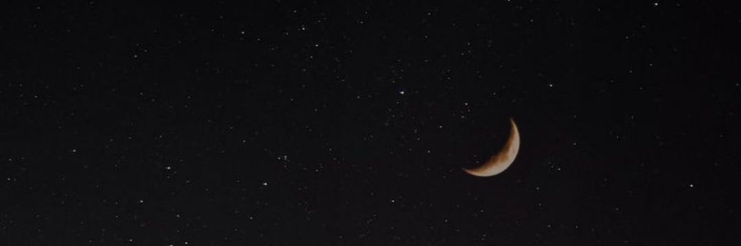 𝘀𝗵𝗮𝗻 𝘆𝗮𝗻𝗴 banner