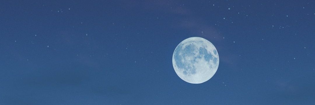 purplewss's profile banner image