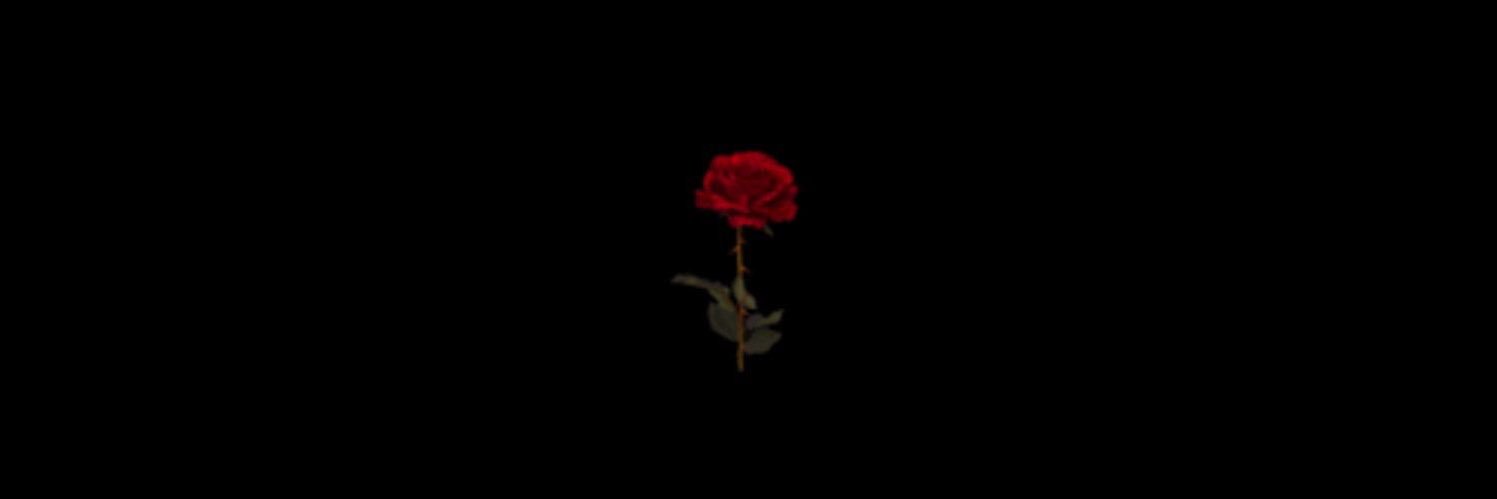 Roses Vanity banner