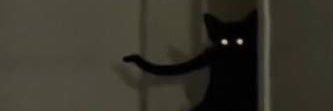 mnlm5's profile banner image