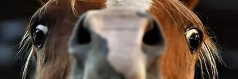 oi_leticia's profile banner image